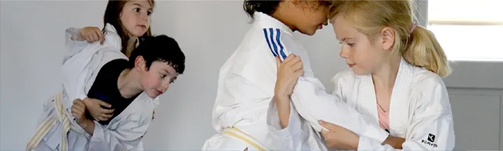 Judo Le Tauzin — Arts martiaux à Saint-Augustin - Tauzin - Alphonse Dupeux, Bordeaux