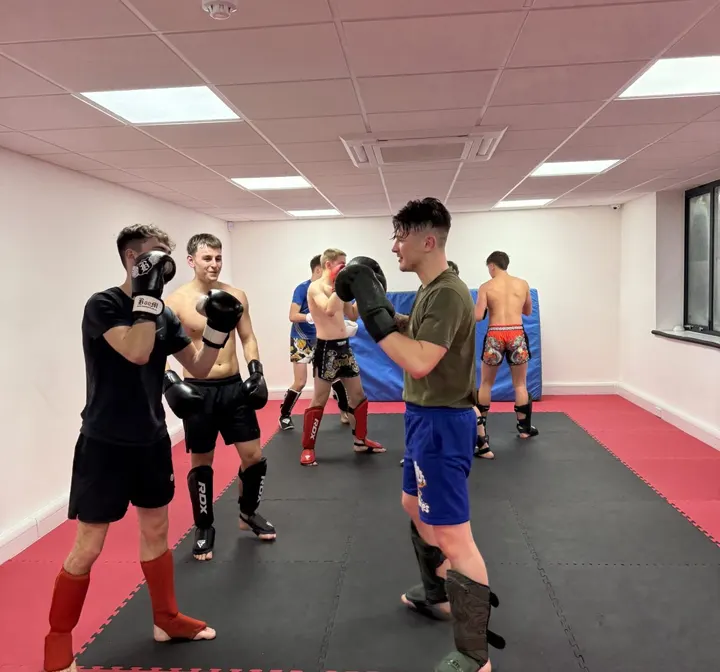Ouroboros Mma — mma-studio in Romsey — 2