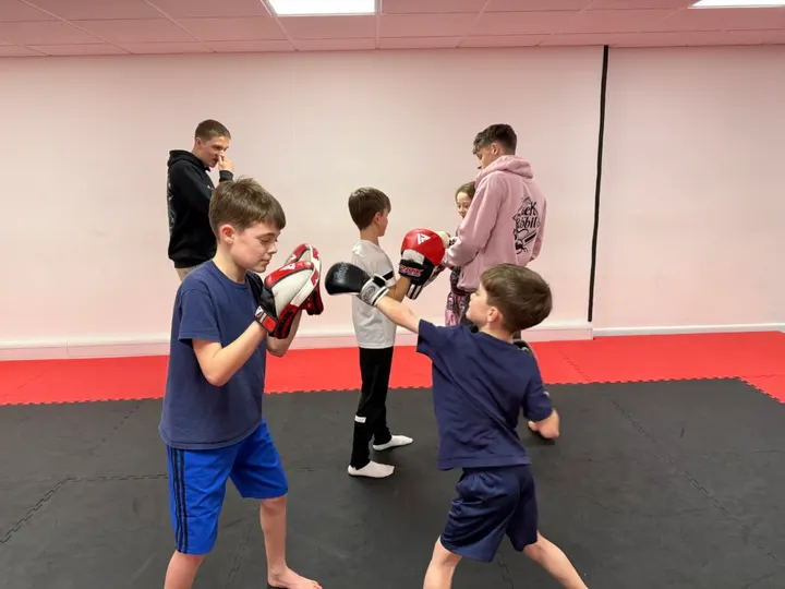 Ouroboros Mma — mma-studio in Romsey — 5