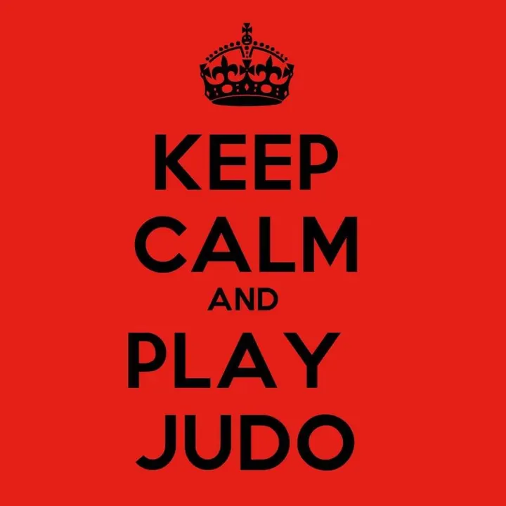 Judo Club de Bischwiller — arts martiaux-studio à Bischwiller — 3