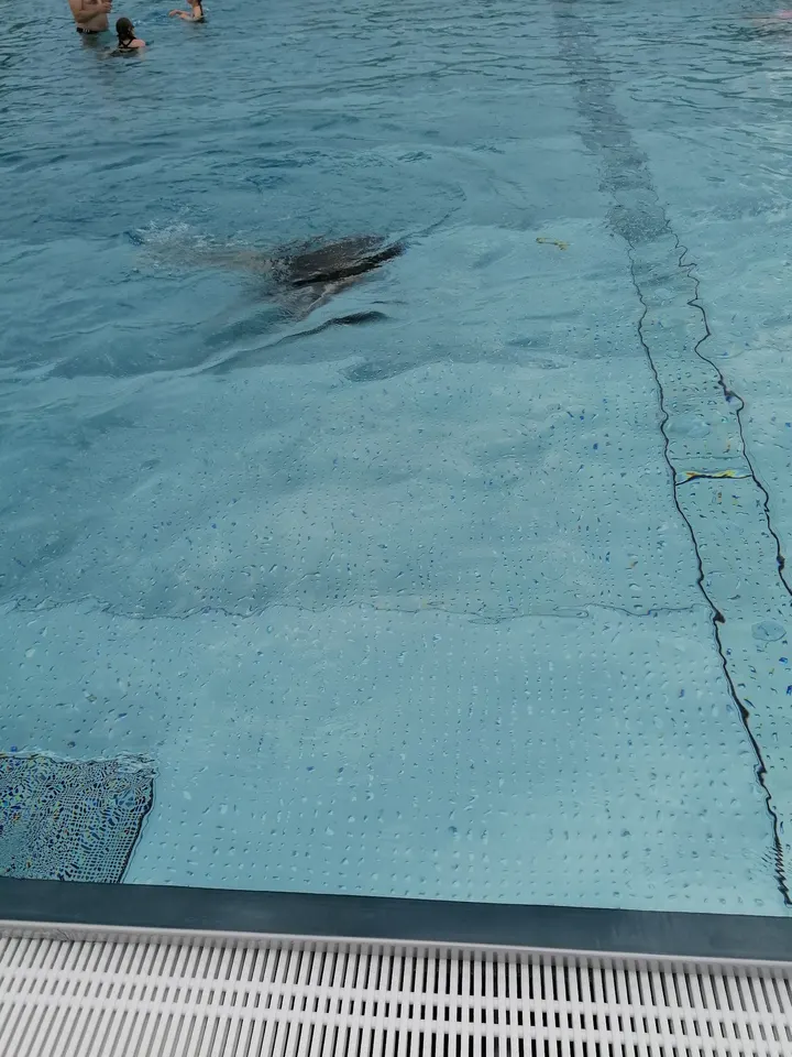 Schwimmhalle Olvenstedt — studio in Magdeburg — 5