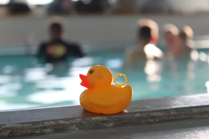 Swim Stars Seynod — studio à Annecy — 5