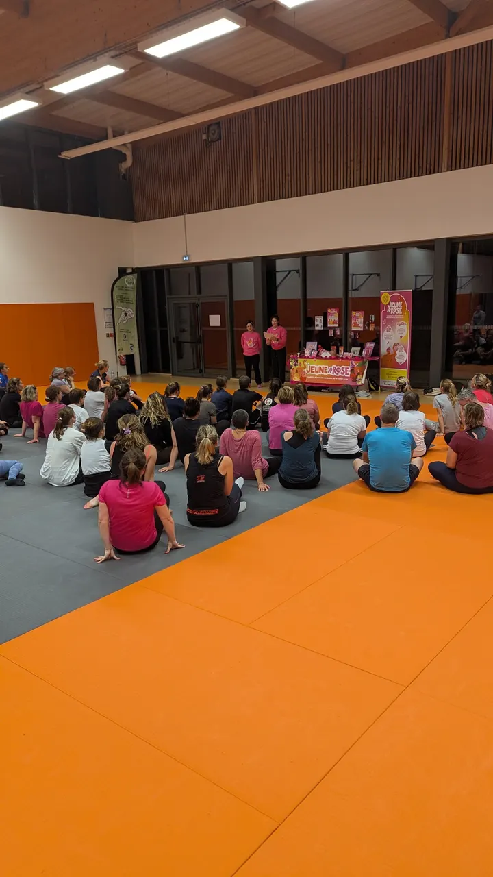 Sud-Est Manceau Judo Jujitsu — jjb-studio à Zone d'Activités du Grand Pin, Changé — 2