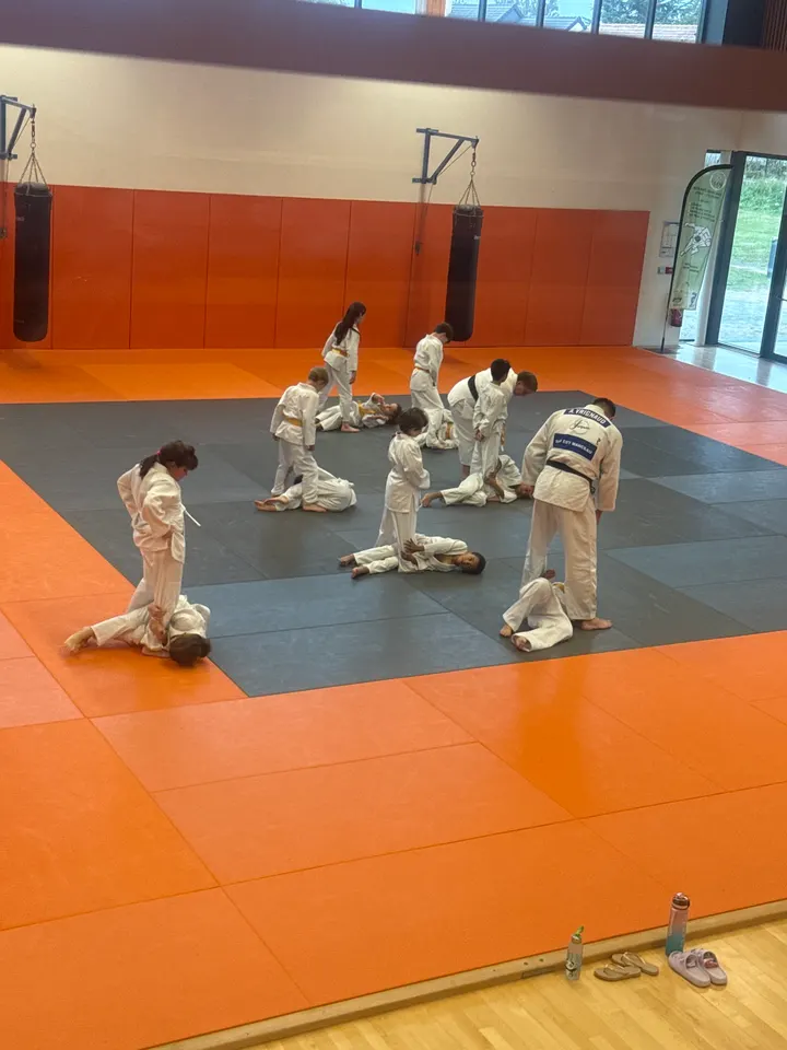 Sud-Est Manceau Judo Jujitsu — Arts martiaux à Zone d'Activités du Grand Pin, Changé