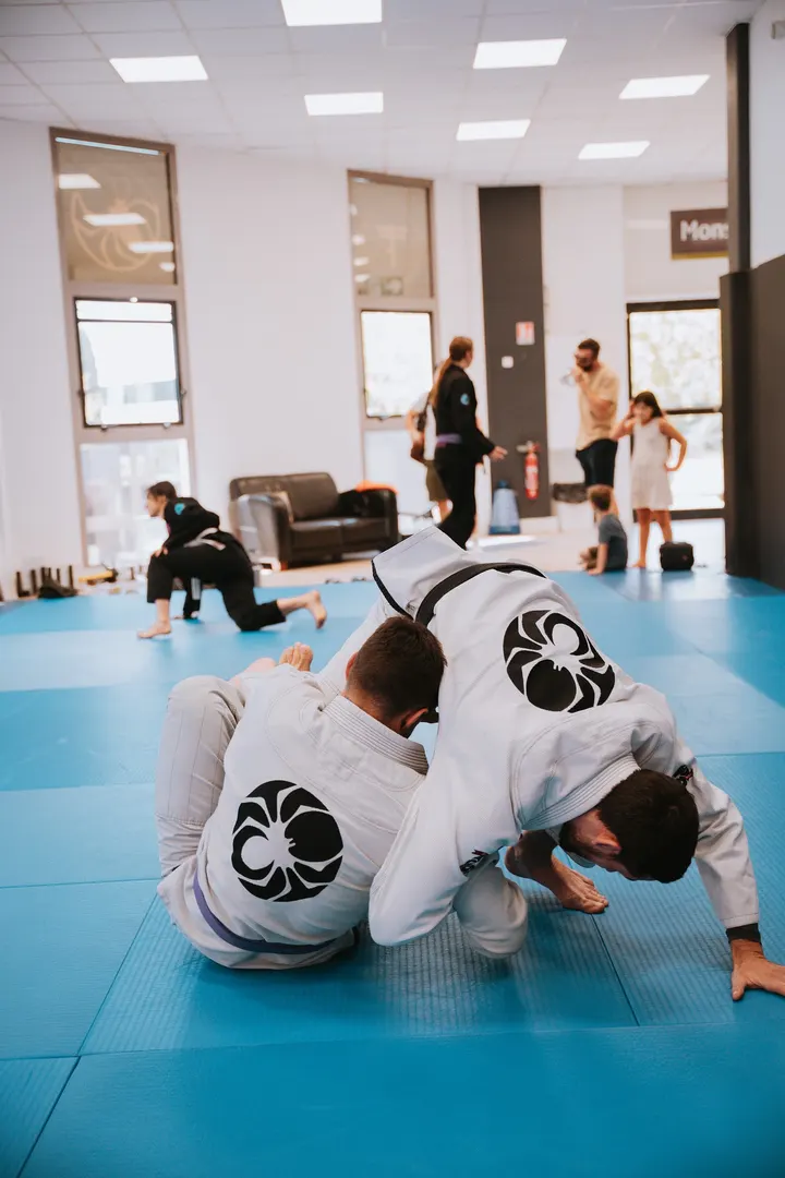Pugiland Labège — mma-studio à Labège, Toulouse — 2
