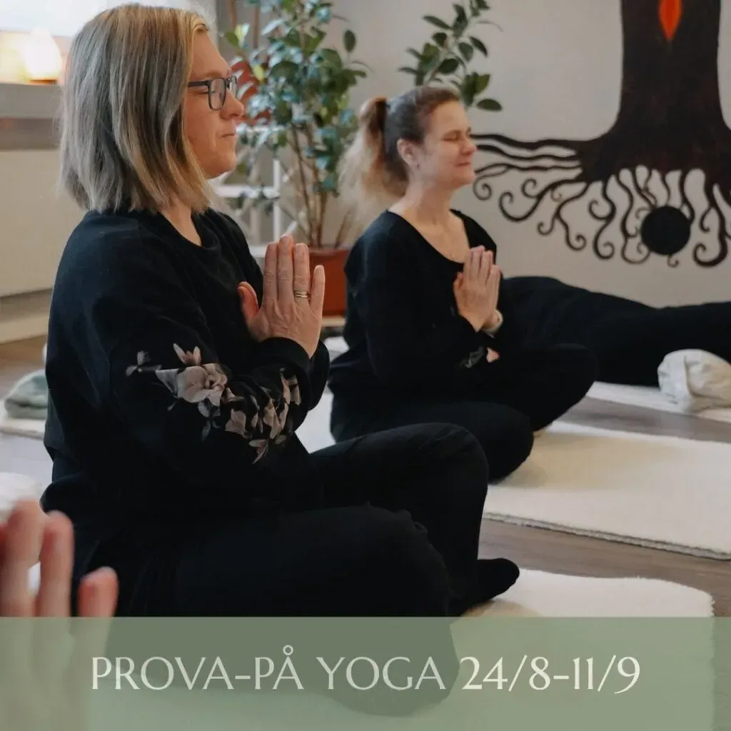 OnLife — yoga-studio i Järfälla — 3