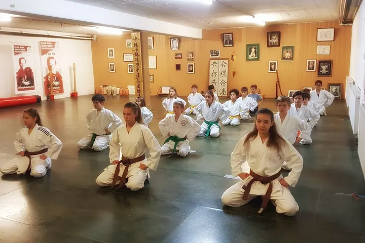 Okinawa Shorin-ryu Karatedo Shido Kan Dojo — Martial Arts in Barbara, Trier