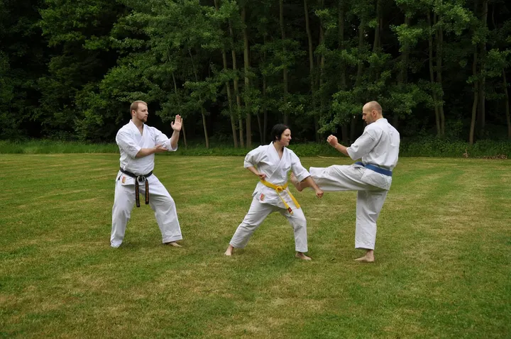 Kampfkunstschule Shidokan - Shirasagi Dojo Chemnitz - Andreas Wagner — Kampfsport in Bernsdorf, Chemnitz