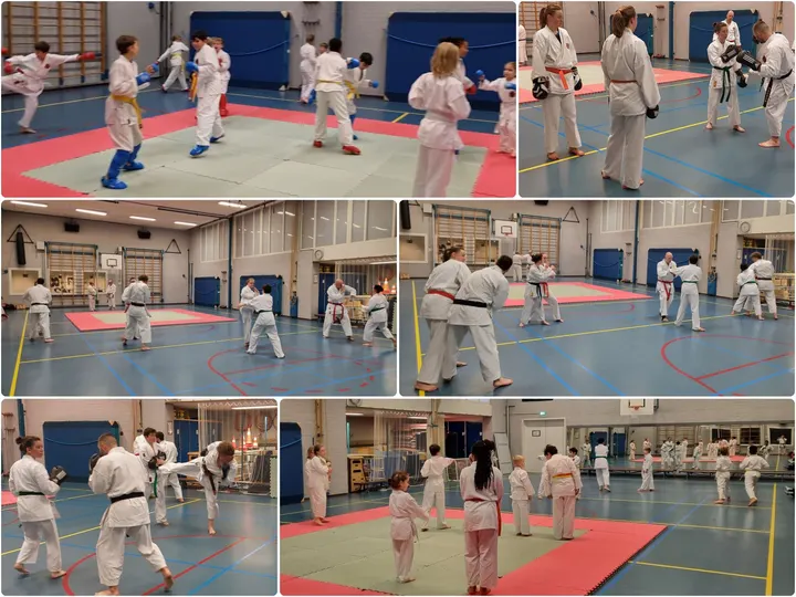 Dojo SEFI — vechtsport-studio in Nijmegen — 3