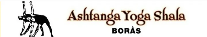 Ashtanga Yoga Shala Borås — yoga-studio i Lugnet, Borås — 2