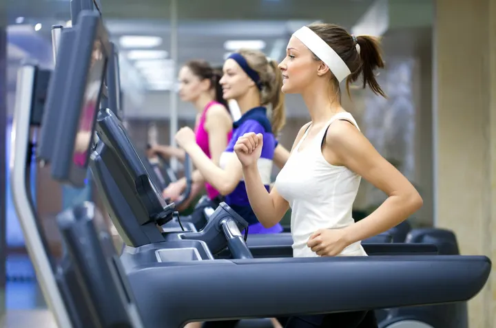 Alpha fitness Culemborg — Sportschool in Hoge Prijs, Culemborg