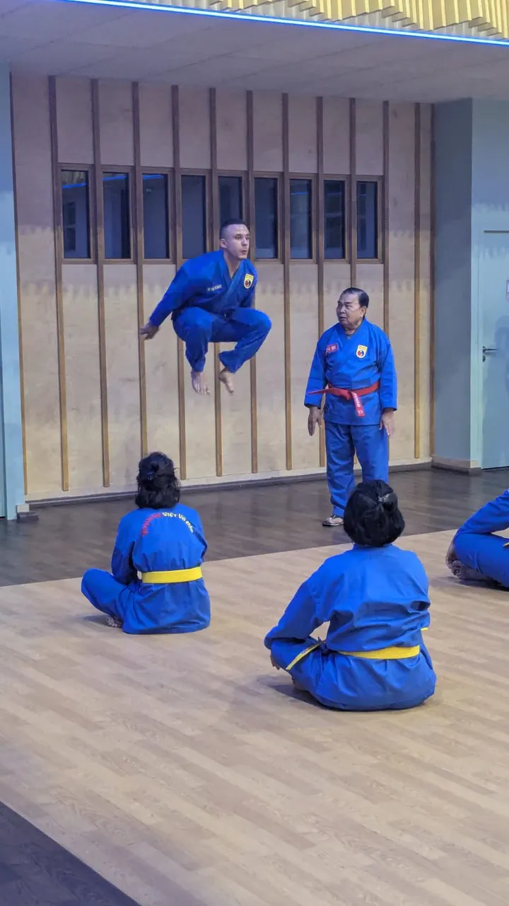 Vovinam Viet Vo Dao Les Lilas — arts martiaux-studio à Paris — 4