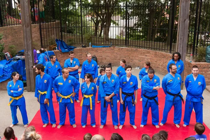 Vovinam Viet Vo Dao Les Lilas — Arts martiaux aux Lilas