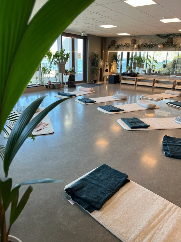 Yoga Stavanger by the Sea at Triangle Studio Stavanger — Yoga i Ledaal, Stavanger