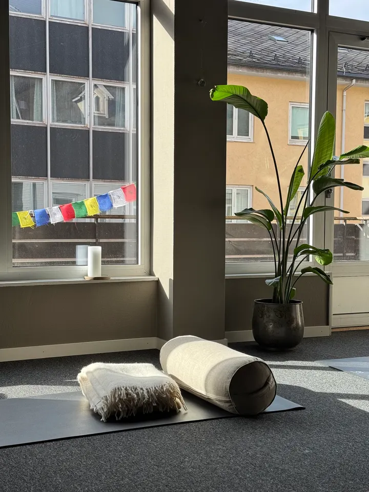 Live Yoga, Meditasjon & Mindfulness, Simonsen — yoga-studio i Narvik — 5