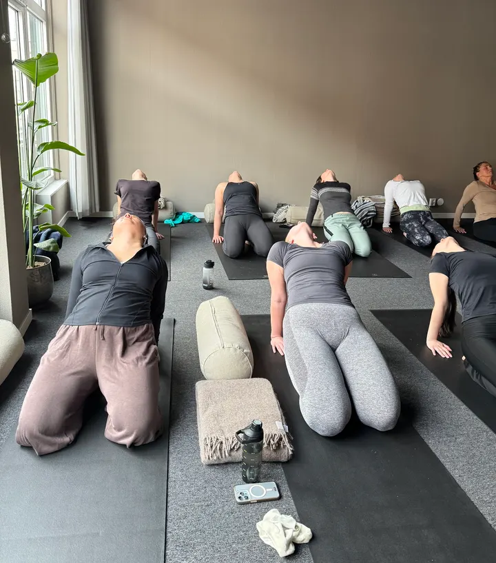Live Yoga, Meditasjon & Mindfulness, Simonsen — Yoga i Oscarsborg, Narvik
