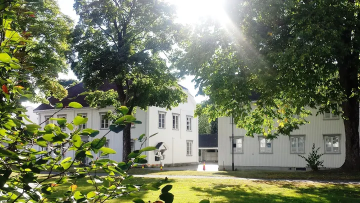 Gry Holm Lindtvedt Yoga — yoga-studio i SKOLLENBORG — 3