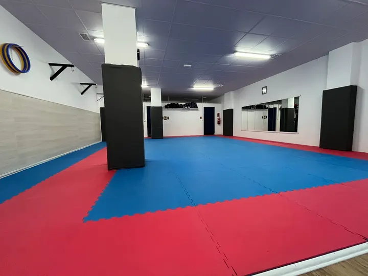NITEN dojo — artes marciales-studio en Plaza Toros - Doctores - San Lázaro, Granada — 2