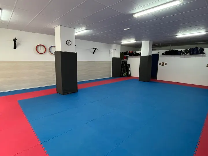 NITEN dojo — artes marciales-studio en Plaza Toros - Doctores - San Lázaro, Granada — 3