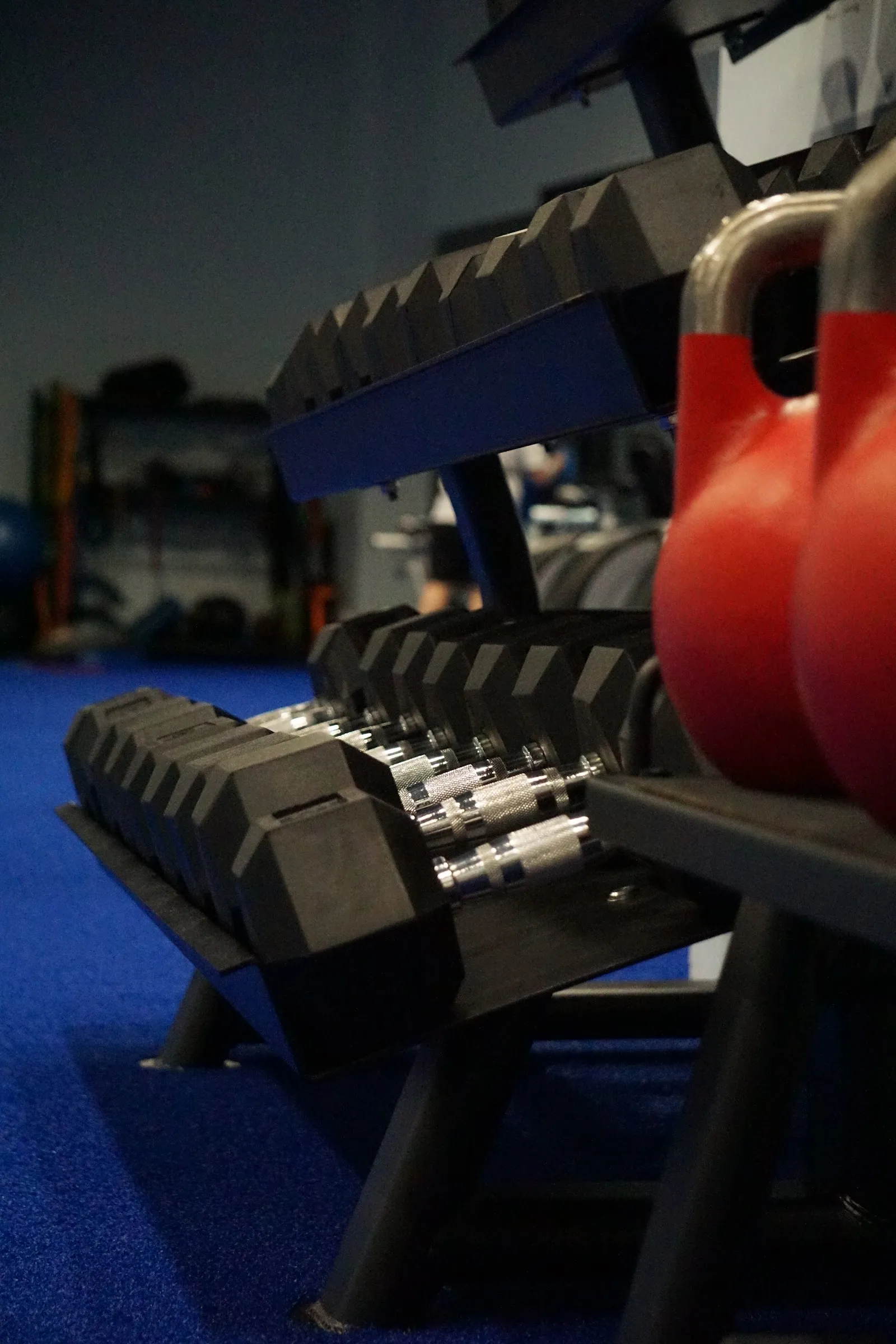 EuroGym Alcorcón — estudio de fitness-studio en Alcorcón — 5