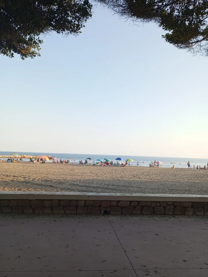 Academia de Baile Ana María Torralvo — baile-studio en Playas del Palo, Málaga — 3