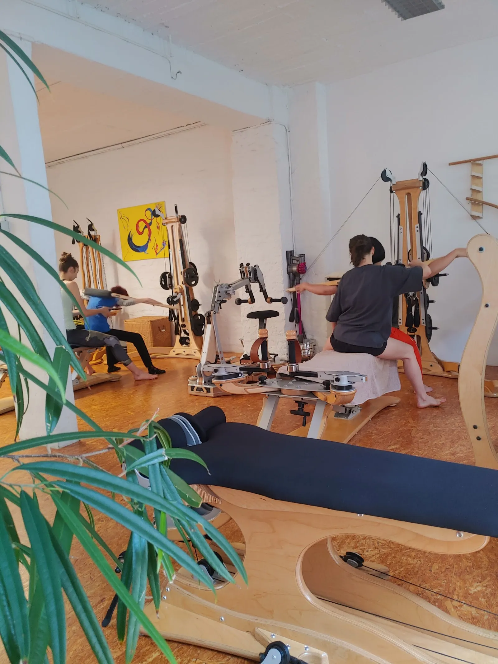 Virgillito Laura Moving Atelier — functional training-studio in Neustadt/Süd, Köln — 3