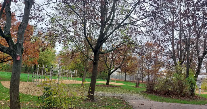 Calisthenics Park — calisthenics-studio in Ditzingen, Stuttgart — 2