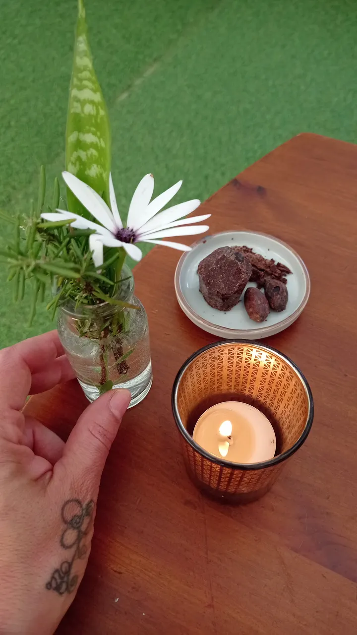 Yoga dans le jardin — yoga-studio à Toulon — 4