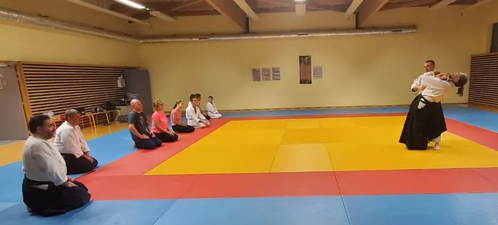 Aikido Takemusu Franche-Comté — arts martiaux-studio à Besançon — 3