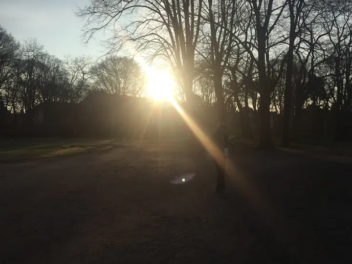 Original Bootcamp - Outdoor Fitness Training | Unimensa — functional training-studio in Köln — 3