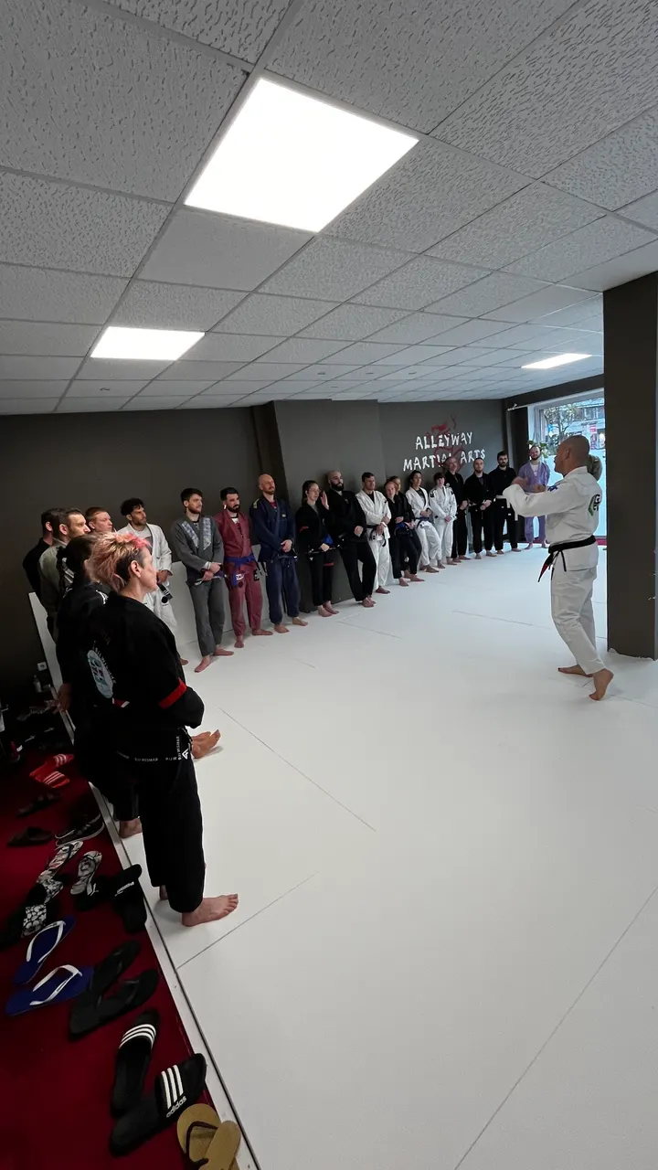 Alleyway Martial Arts — bjj-studio in Hamburg — 3
