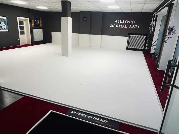 Alleyway Martial Arts — BJJ in Eilbek, Hamburg