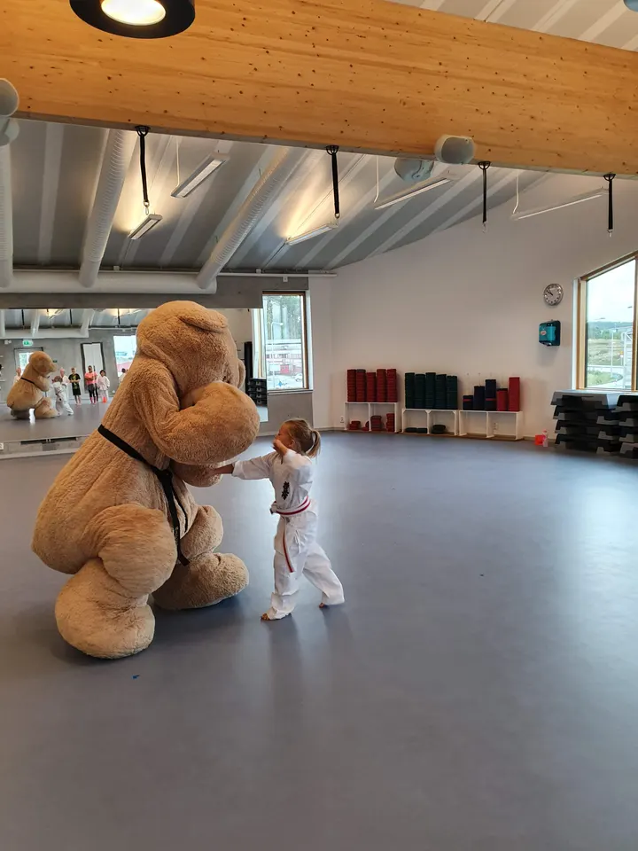 STENUNGSUND KYOKUSHIN KARATEKLUBB — kampsport-studio i Munkeröd, Stenungsund — 2