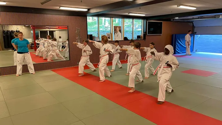 STENUNGSUND KYOKUSHIN KARATEKLUBB — kampsport-studio i Stenungsund — 3