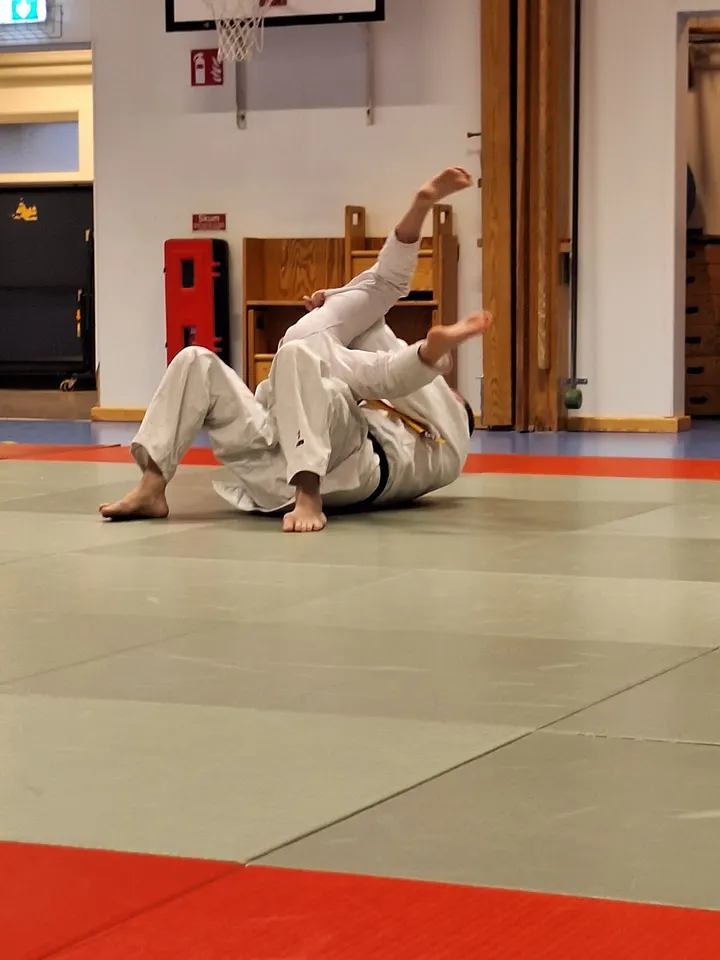 Mälarö judo — kampsport-studio i Rödbacka, Färentuna — 3