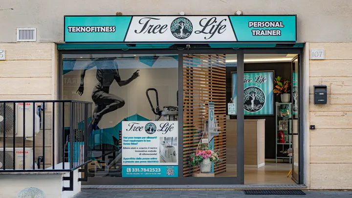 Tree Life — palestre-studio a Municipio Roma X, Roma — 3