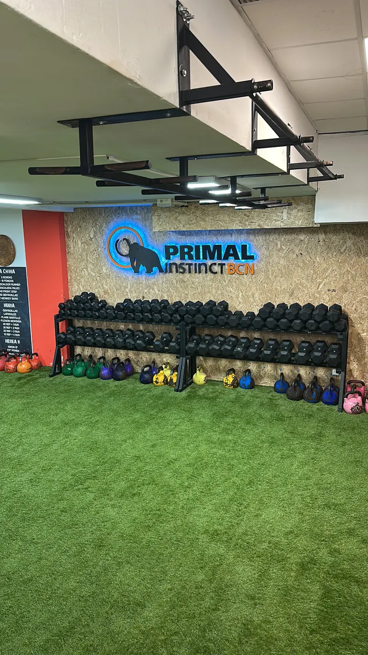 Primal Instinct — entrenamiento funcional-studio en Barcelona — 3