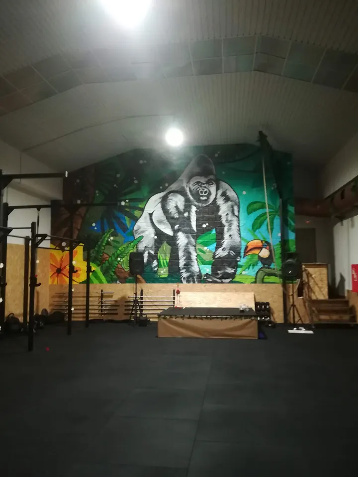 Gimnasio Incipit Sports Solution For Humans — estudio de fitness-studio en Haro — 3