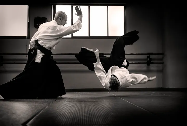 Dojo de Aikido - Dojo Hiryukan — artes marciales-studio en Milagrosa-Arrosadia, Pamplona — 2
