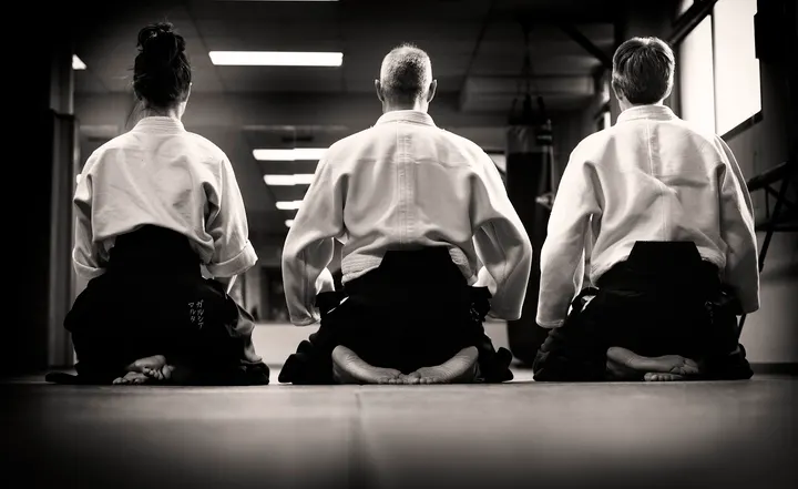 Dojo de Aikido - Dojo Hiryukan — artes marciales-studio en Milagrosa-Arrosadia, Pamplona — 3
