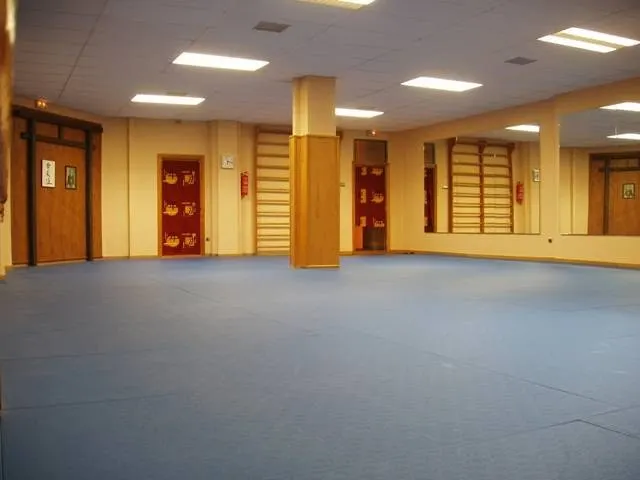 Dojo de Aikido - Dojo Hiryukan — artes marciales-studio en Pamplona — 3