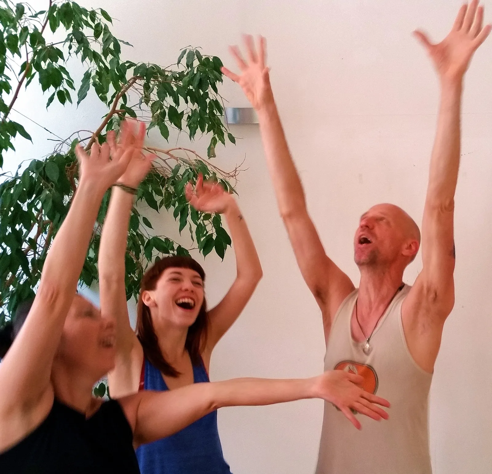 Wild Life Breath — breathwork-studio in Mitte, Berlin — 2