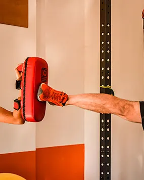 Força & Saúde FG — musculação-studio em Proença a Nova e Peral, Proença-a-Nova — 2