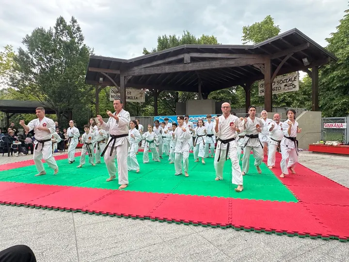 Shodan — arti marziali-studio a Reggio Emilia — 4