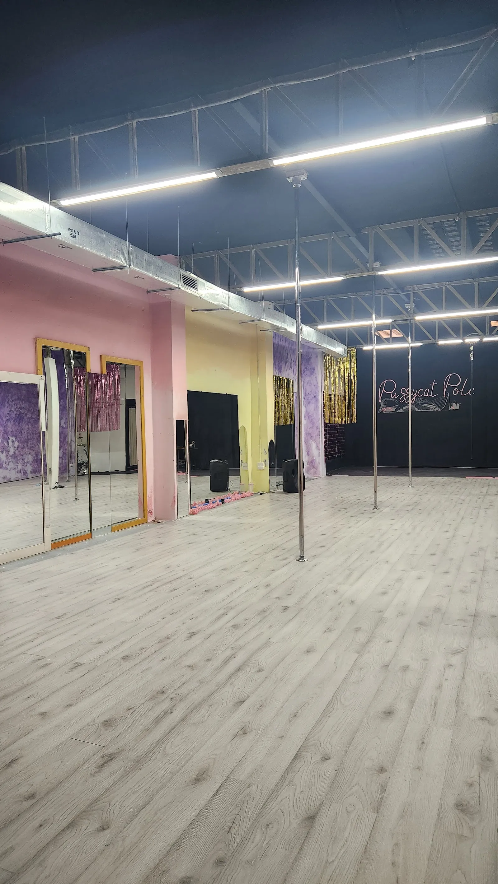 Pussycat Pole — pole fitness-studio en Benetúser — 3