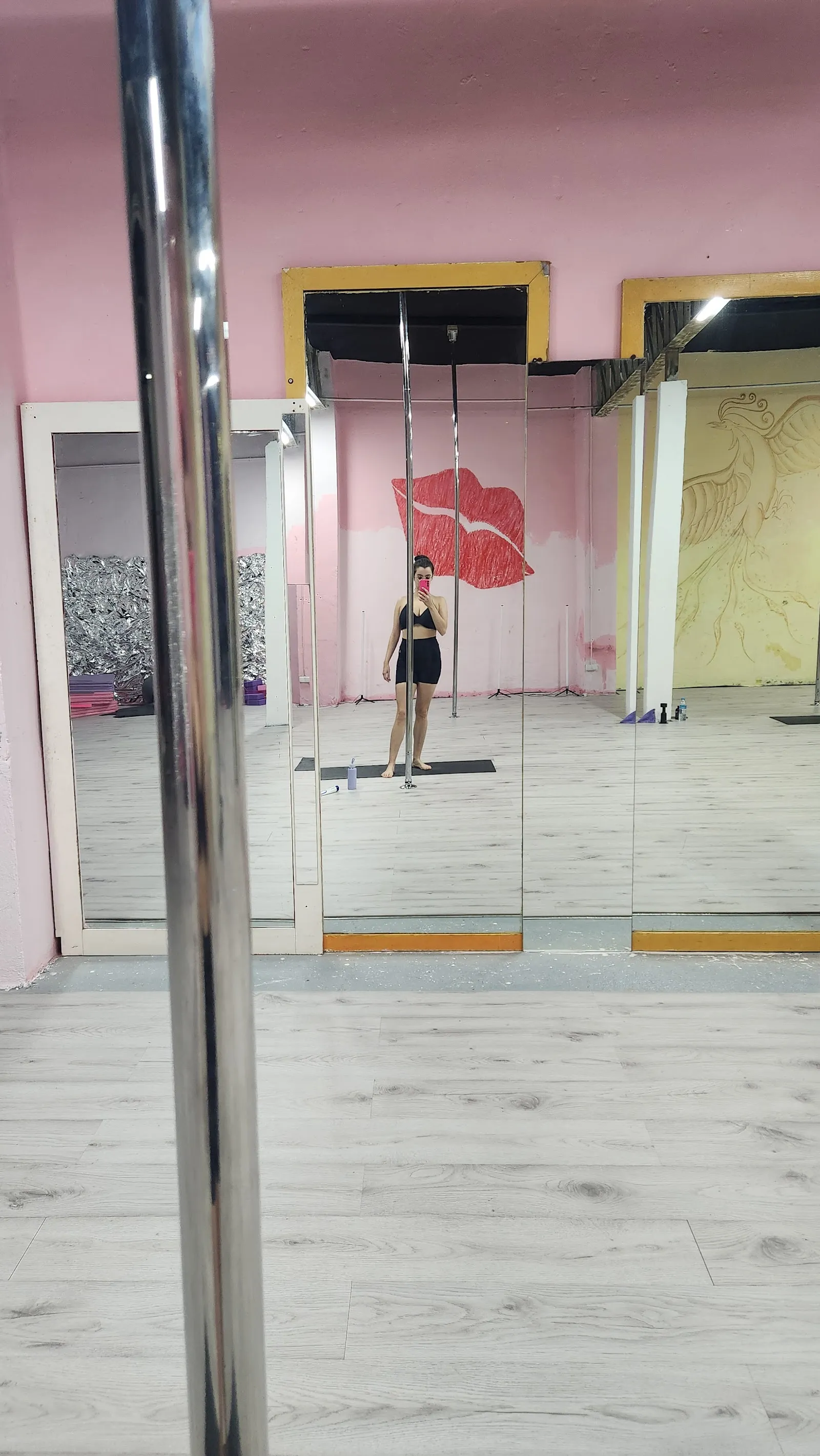 Pussycat Pole — pole fitness-studio en Benetúser — 4