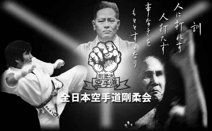 Gojukai Karatedo Stockholm — martial arts-studio in Stockholm — 5