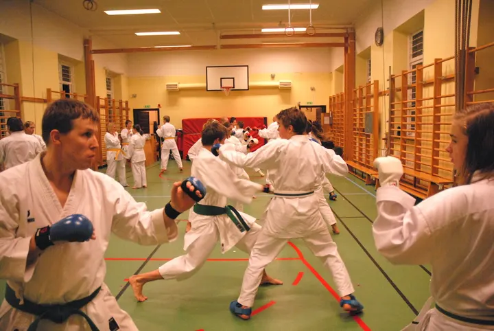 Gojukai Karatedo Stockholm — Kampsport i Bromma