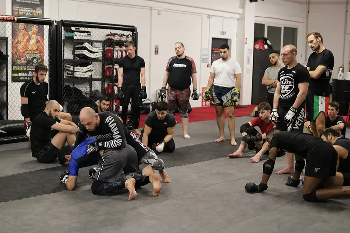 Apex MMA RUE HANNAH ARENDT 67200 STRASBOURG — MMA à Hautepierre, Strasbourg