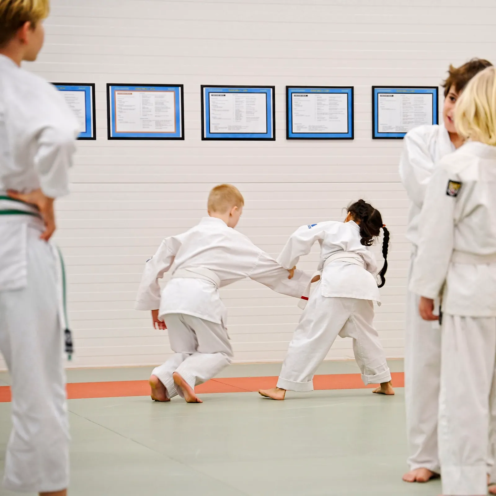 Hudiksvall Ju-Jutsuklubb — kampsport-studio i Hudiksvall — 3
